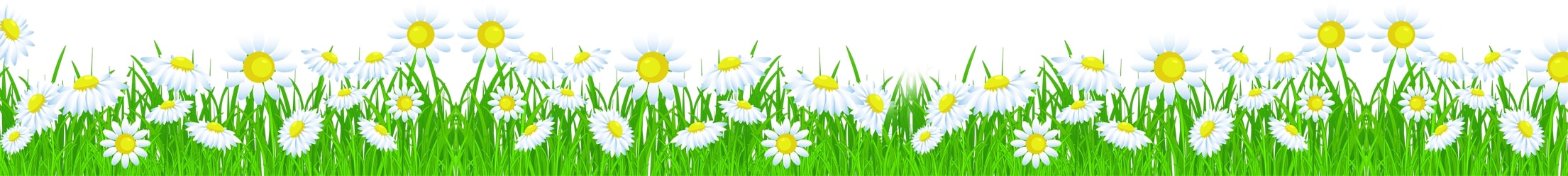 banner__image